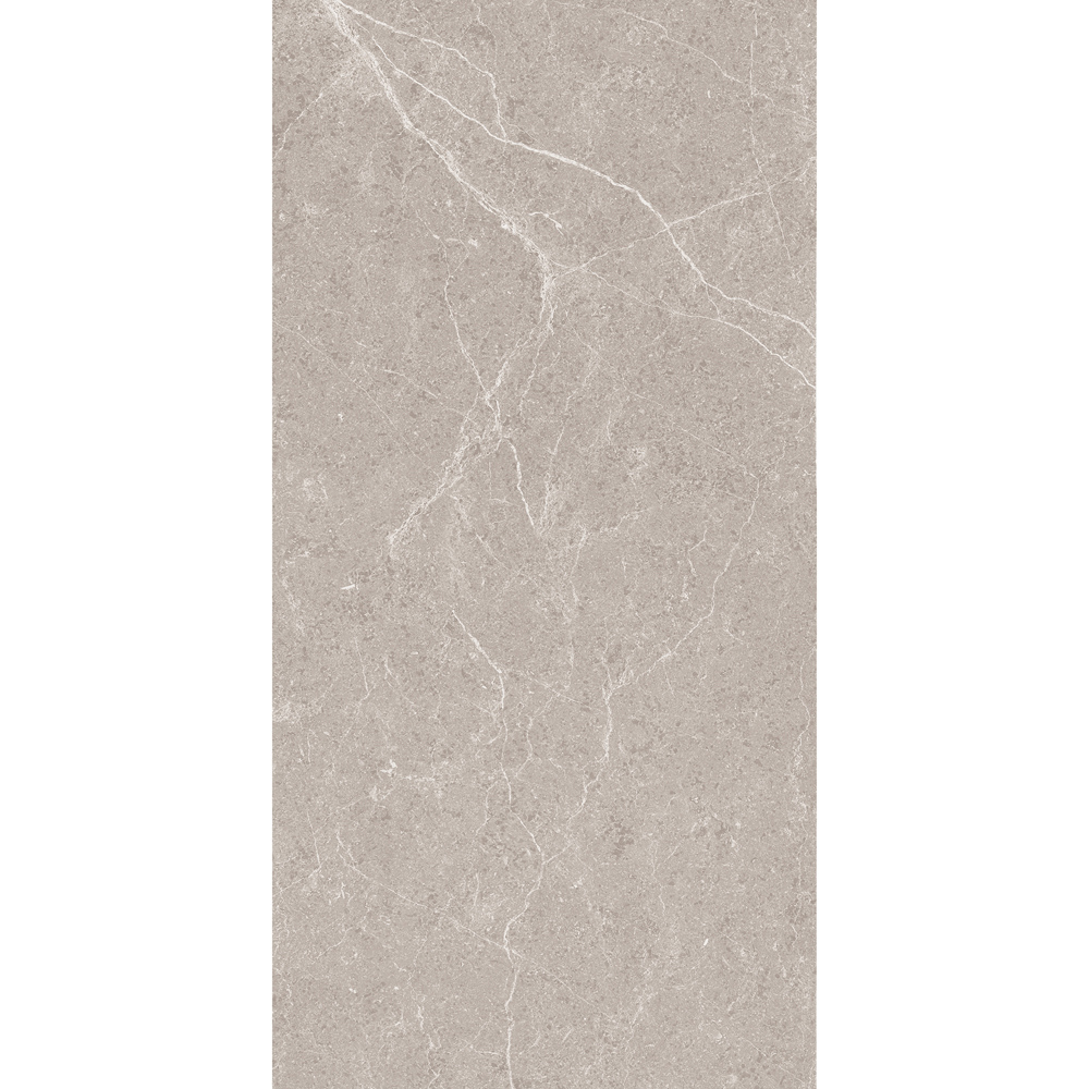 Johnson Tiles Dakota Pebble Matt Rectified Tile Sample 600 x 300mm Image 2