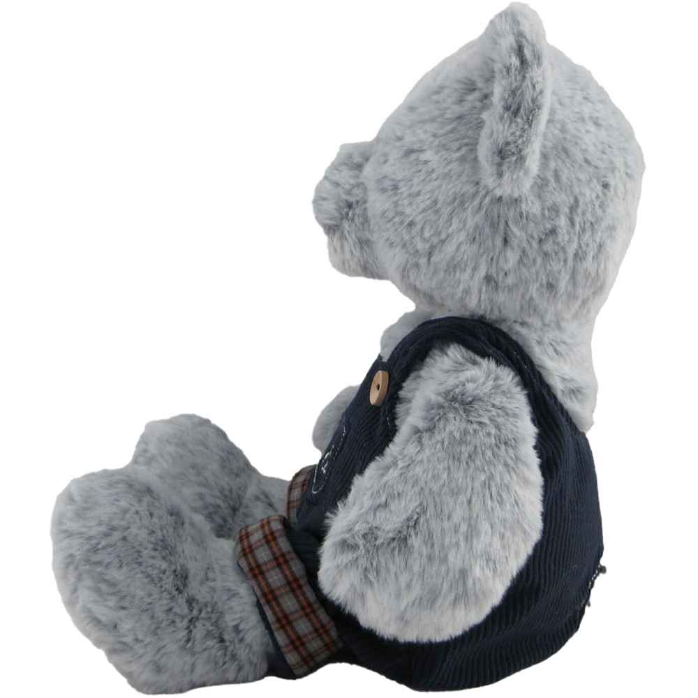 Clothed Teddy Bear Image 5