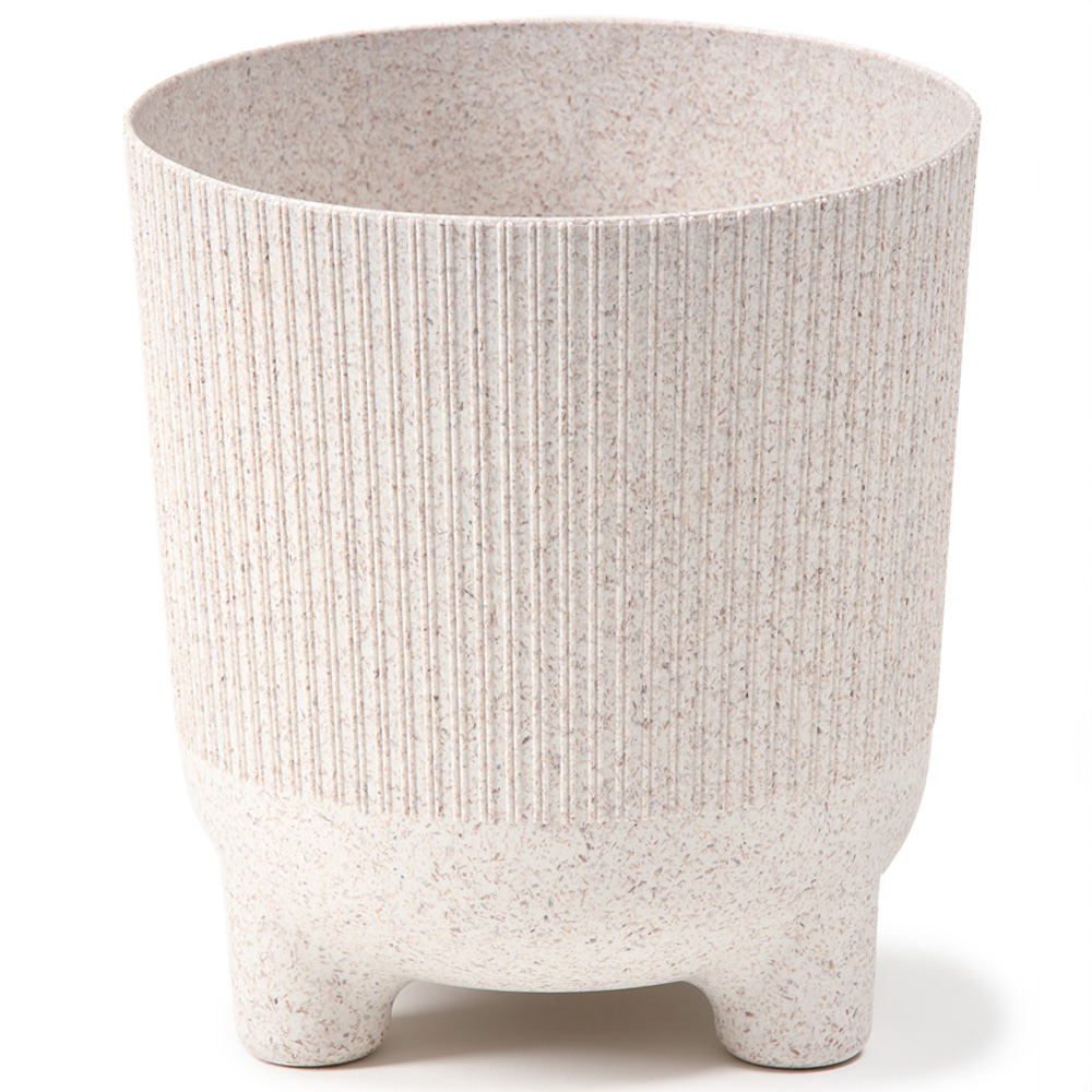 YouGarden China Doll Plant with Off White Recycled Pot Cover 12cm Image 2