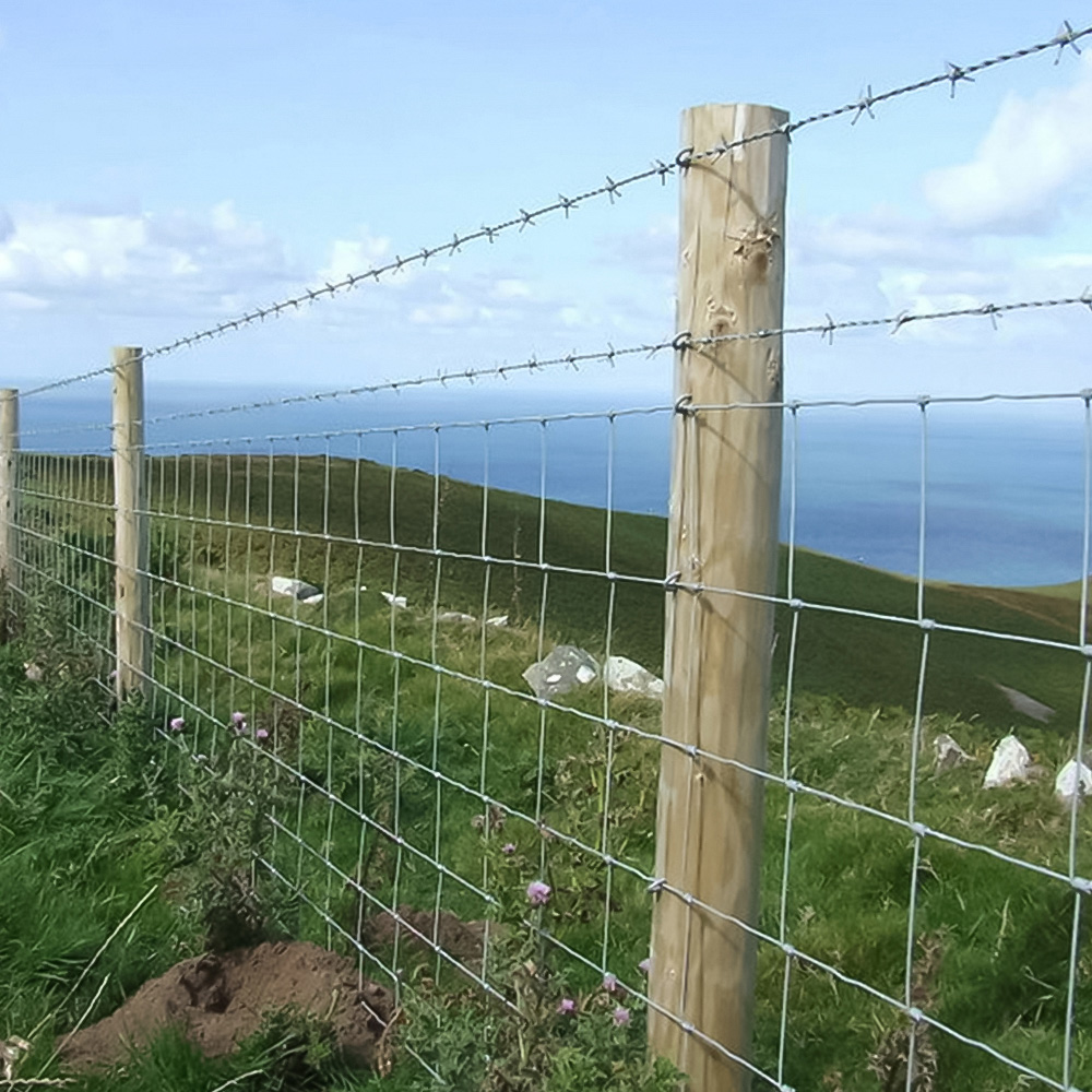 Inspirational Gifting L8/80/15 Lightweight Stock Wire Fencing Roll 80cm x 50m Image 3