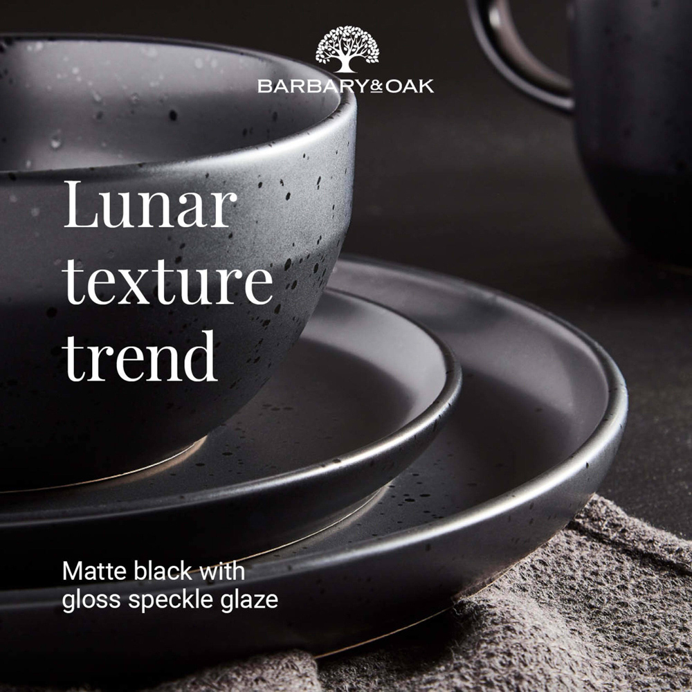 Barbary & Oak Luna Black 16 Piece Dinner Set Image 3