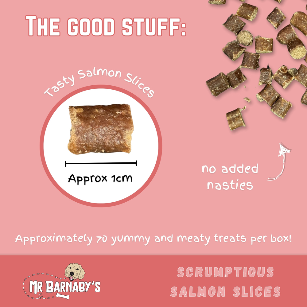 Mr Barnaby's Scrumptious Salmon Slices Dog Treats 4 Pack Image 2