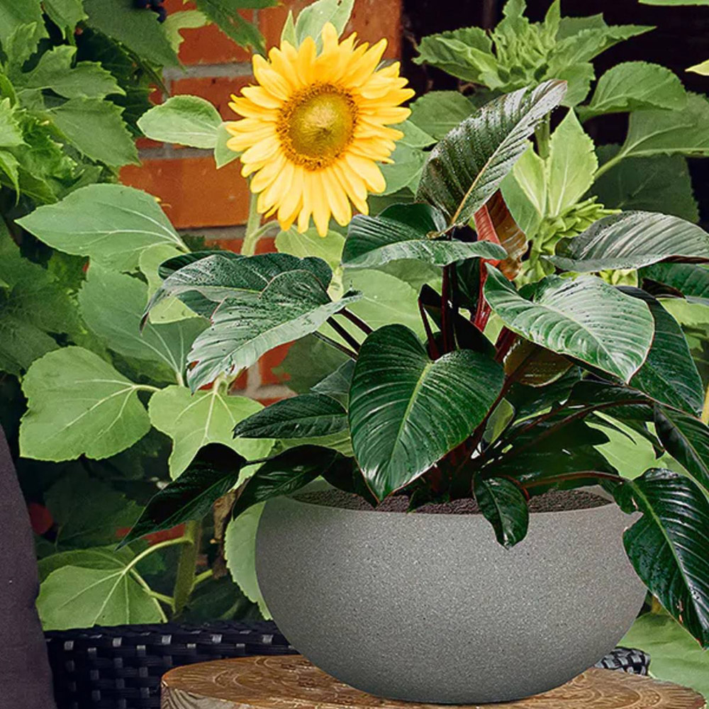 wilko Textured Sand Concrete Outdoor Bowl Planter 14cm Image 2