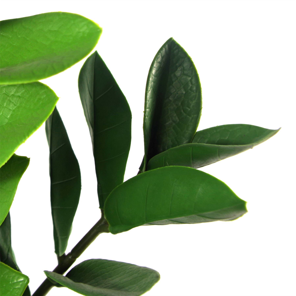 Leaf Zanzibar Gem Foliage Artificial Plant Pot 75cm Image 3