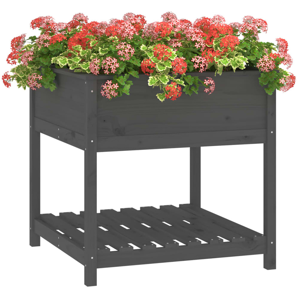 vidaXL Single Shelf Grey Solid Pine Wood Garden Planter 82.5 x 82.5 x 81cm Image 3