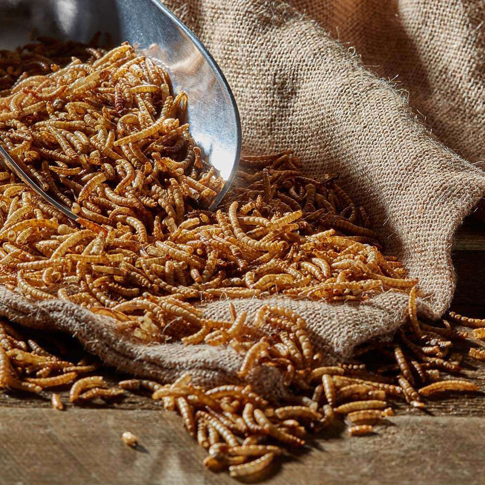 Happy Beaks Meal Worms Bird Food Bag 5kg Image 5