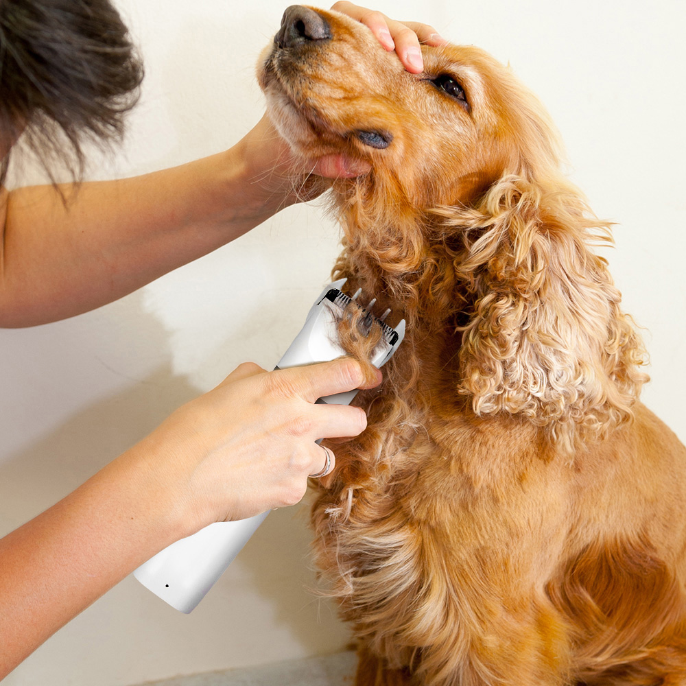 H&O Direct 4 in 1 Rechargeable Electric Pet Grooming Clipper Image 2