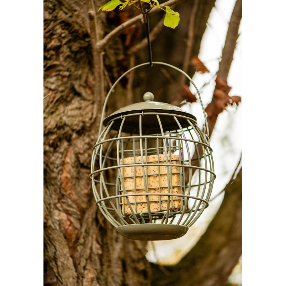 Thompson and Morgan Happy Beaks Orbital Squirrel Proof Suet Feeder Image 5