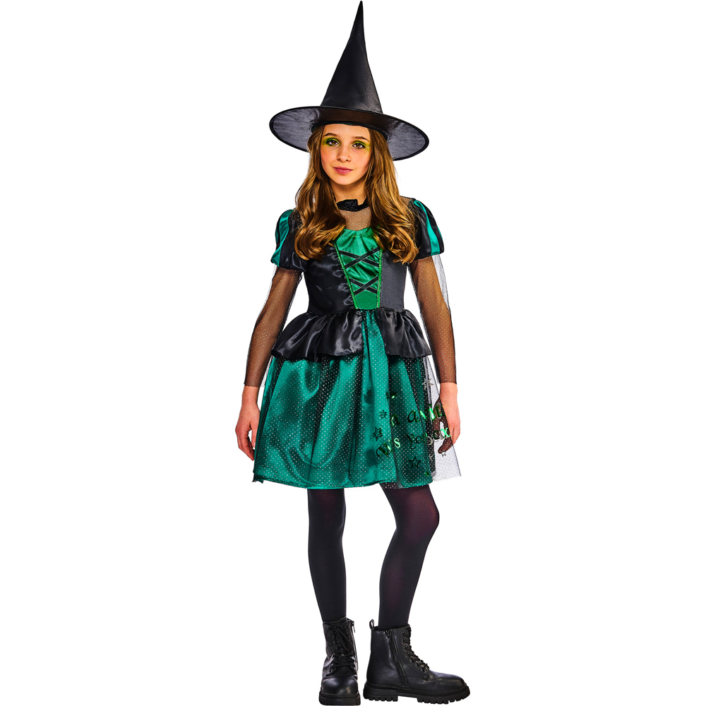 Wizard Of Oz Wicked Witch Halloween Costume 5 to 6 Years Image 1