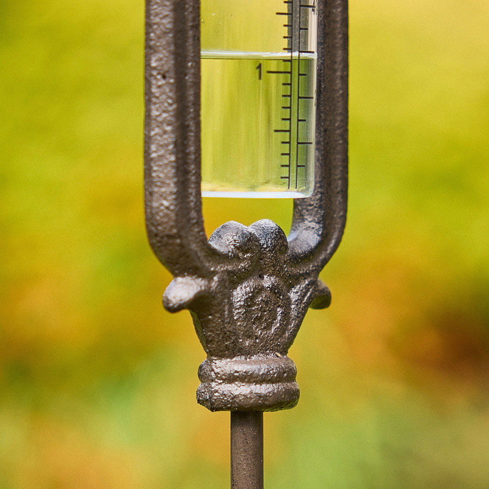 Dibor Antique Brown Cast Iron Bird Standing Rain Gauge Image 5