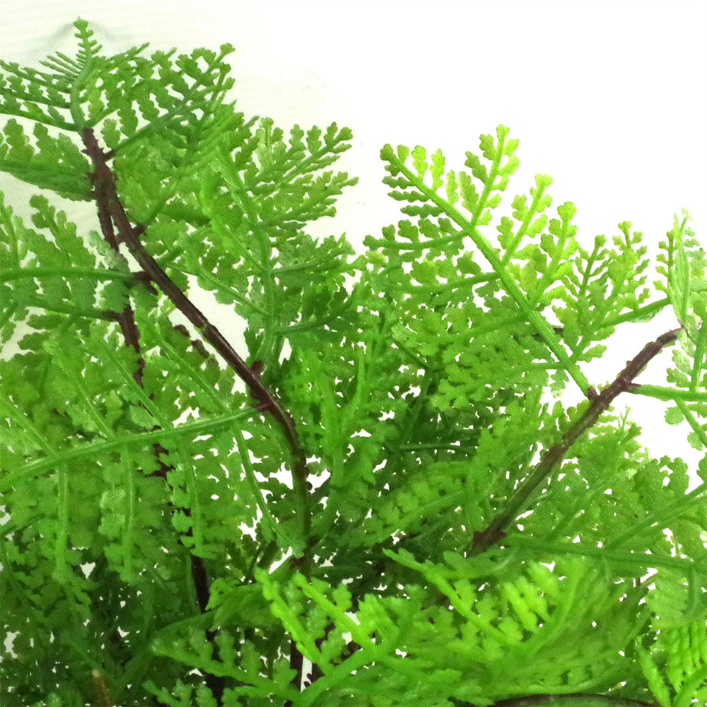 Leaf Lady Fern Artificial Plant Pot 30cm Image 3