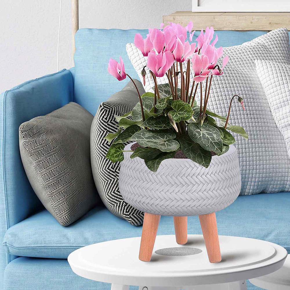 wilko Plaited Style White Indoor Bowl Plant Pot with Legs 26.5cm Image 5