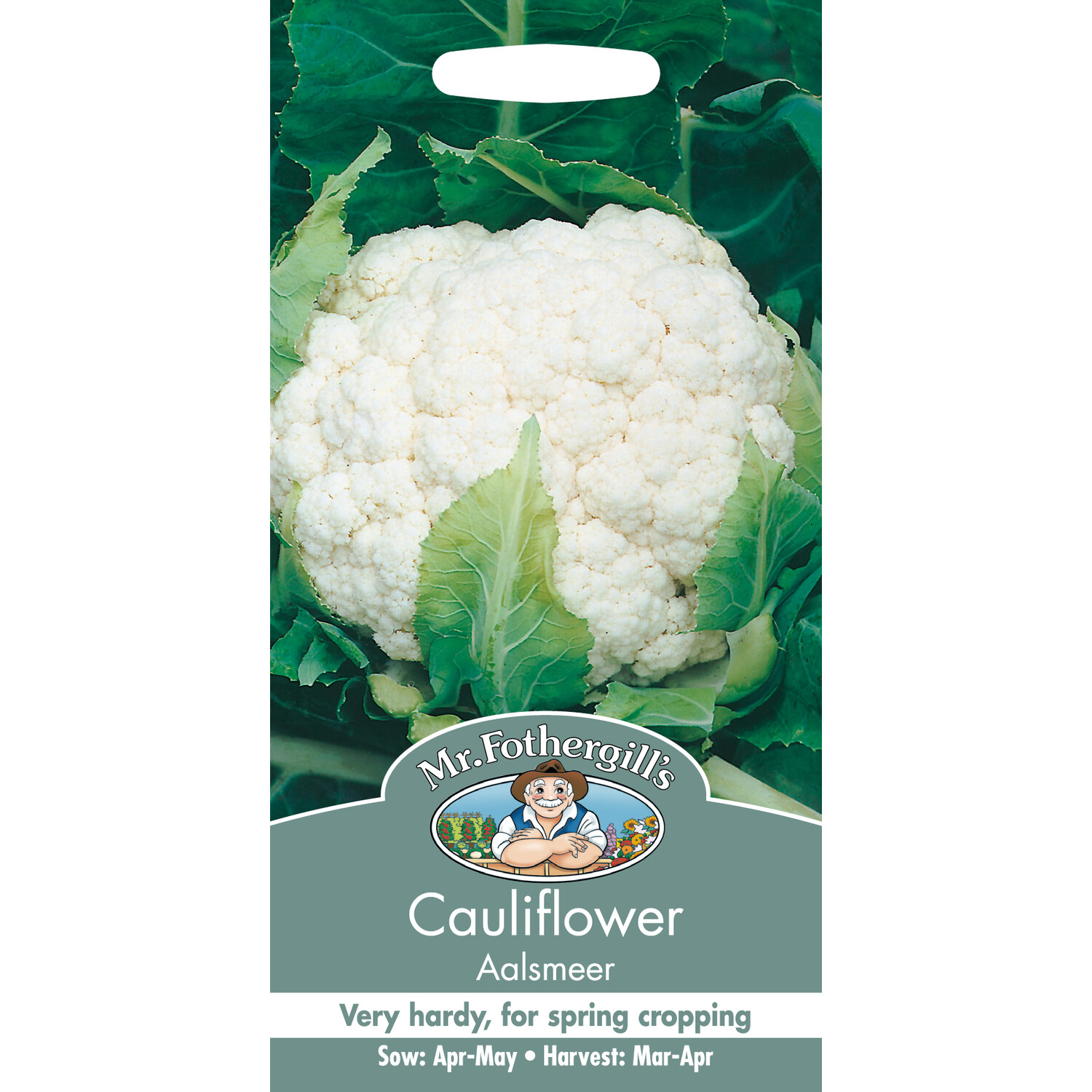 Aalsmeer Cauliflower Seeds Image 1