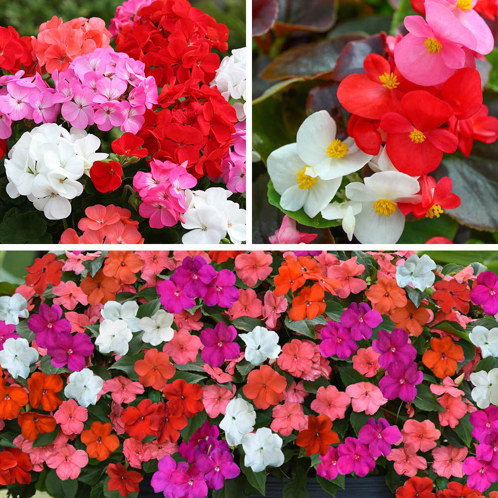 YouGarden Ultimate Bedding Pro Plug 120 Pack Image 1