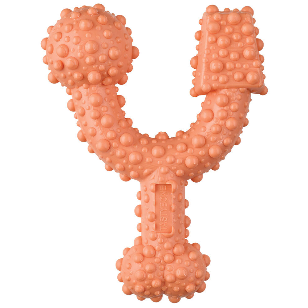 Tasty Bone Cinnamon Mint Trio Bone Image 1