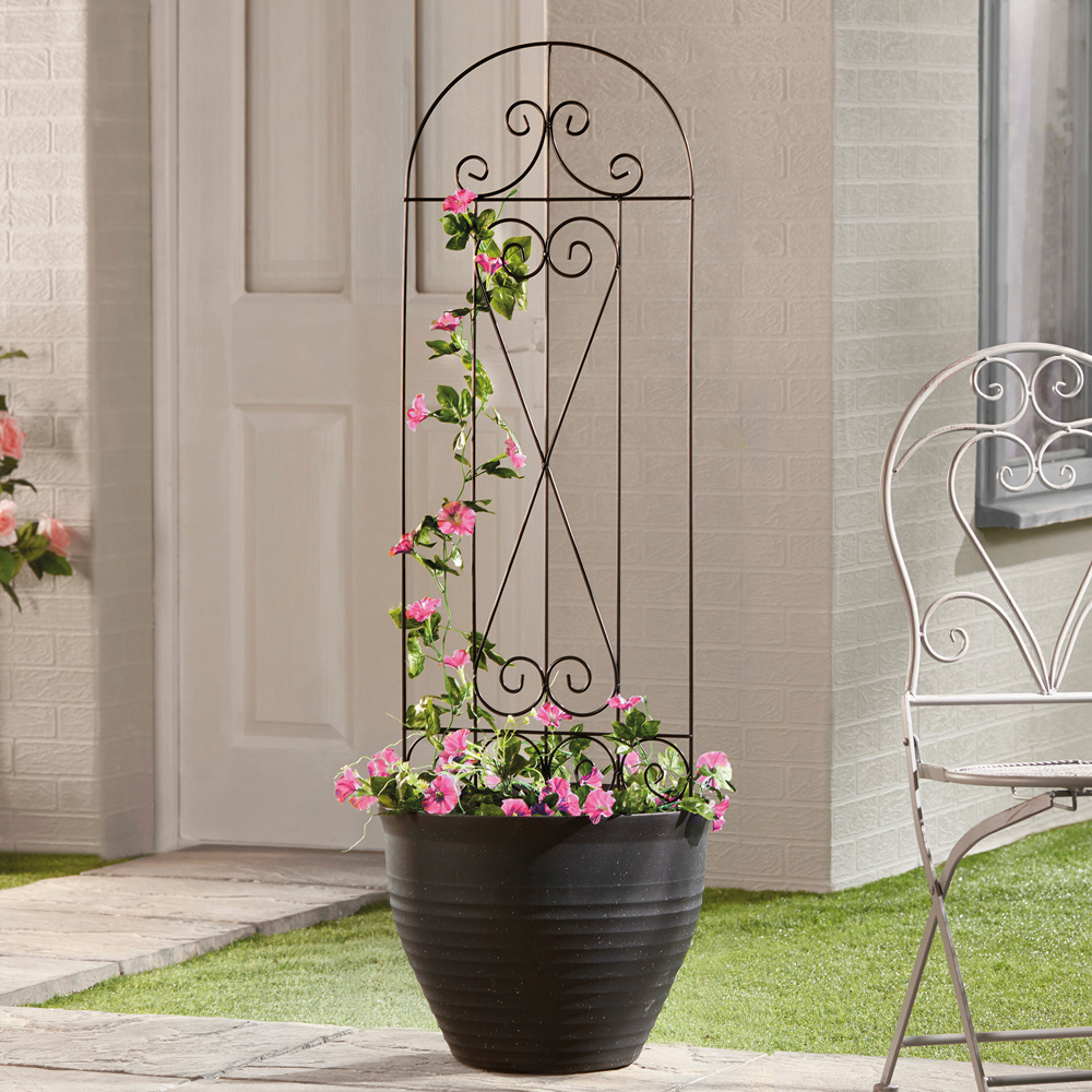 Garden Gear Swirl Metal Plant Support 1.15m 2 Pack Image 4
