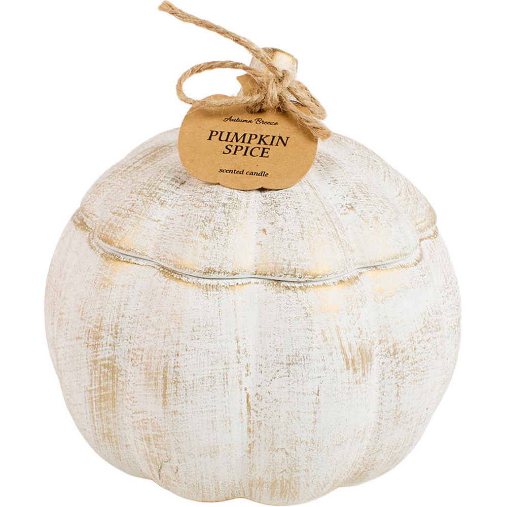Autumn Breeze Pumpkin Candle Image 1