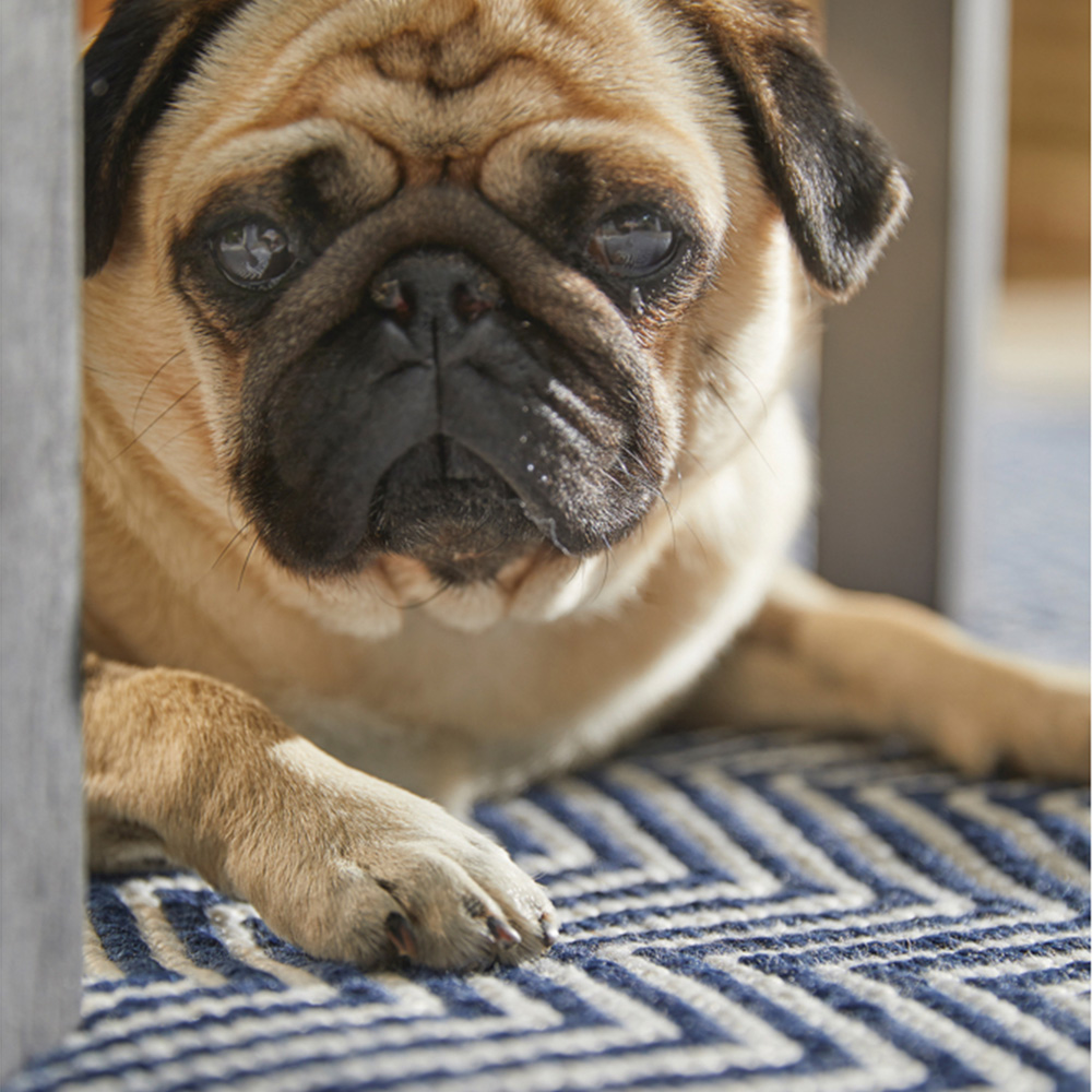 Hug Rug Navy Woven Herringbone Rug 160 x 230cm Image 3