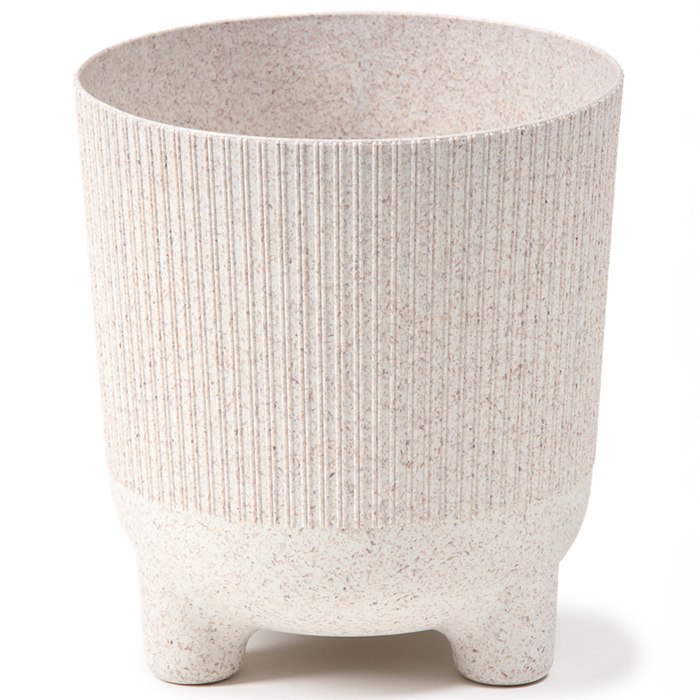 YouGarden Scindapsus with Off White Recycled Pot Cover 12cm Image 3
