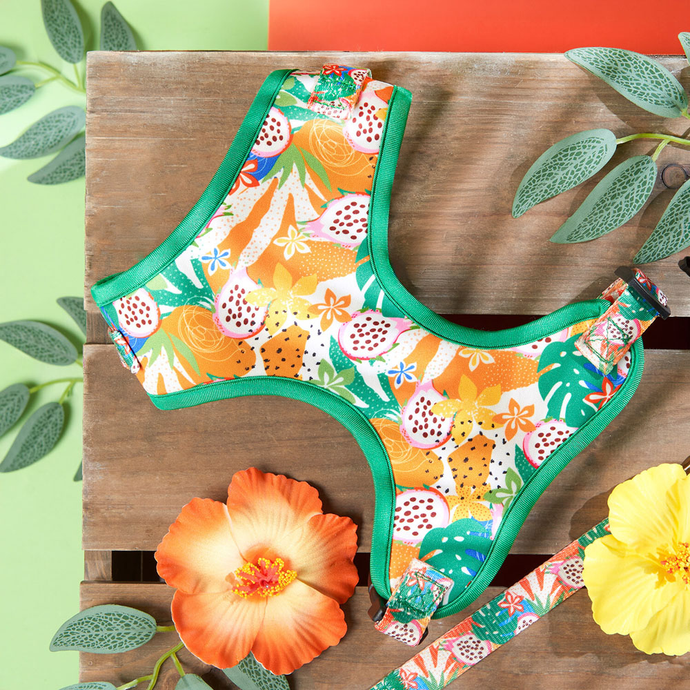 Jungle Fruits Dog Harness Green Image 4