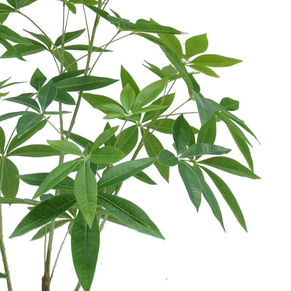 Botanik Pachira Money Tree Artificial Plant in Pot 4ft Image 2