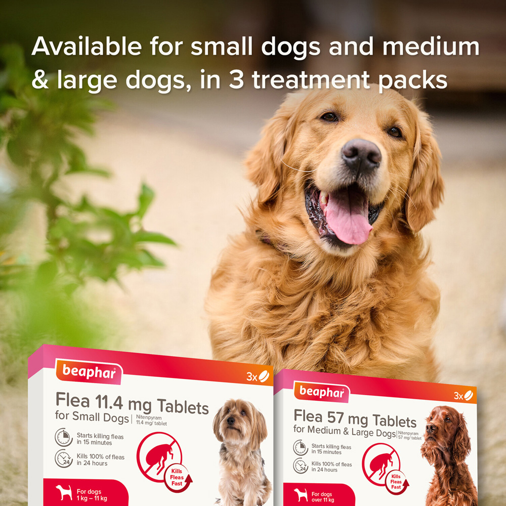 Beaphar Flea Tablets for Medium and Large Dogs Image 3
