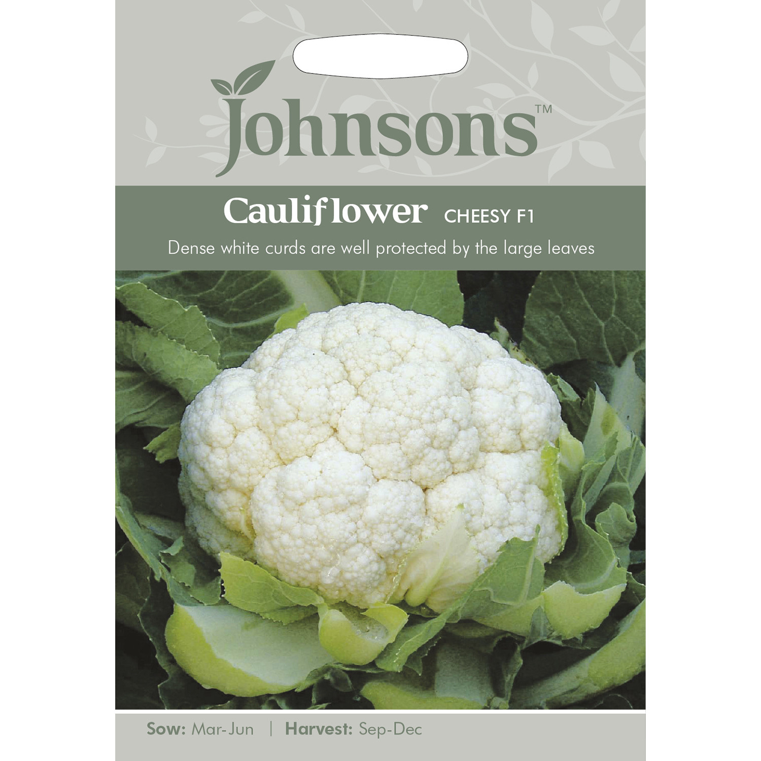 Johnsons Cheesy F1 Cauliflower Seeds Image 2