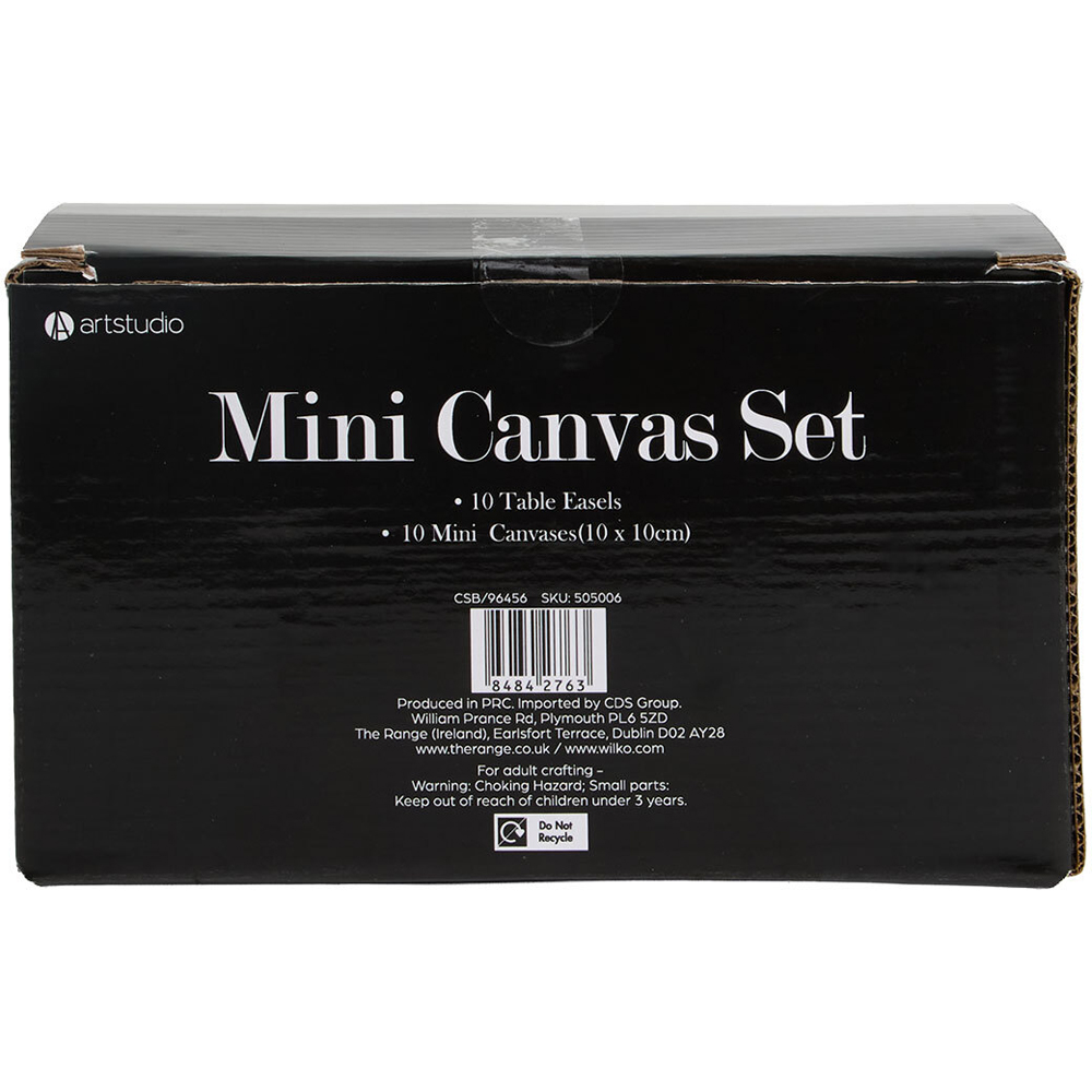 10 Pack Mini Canvas Set Image 4