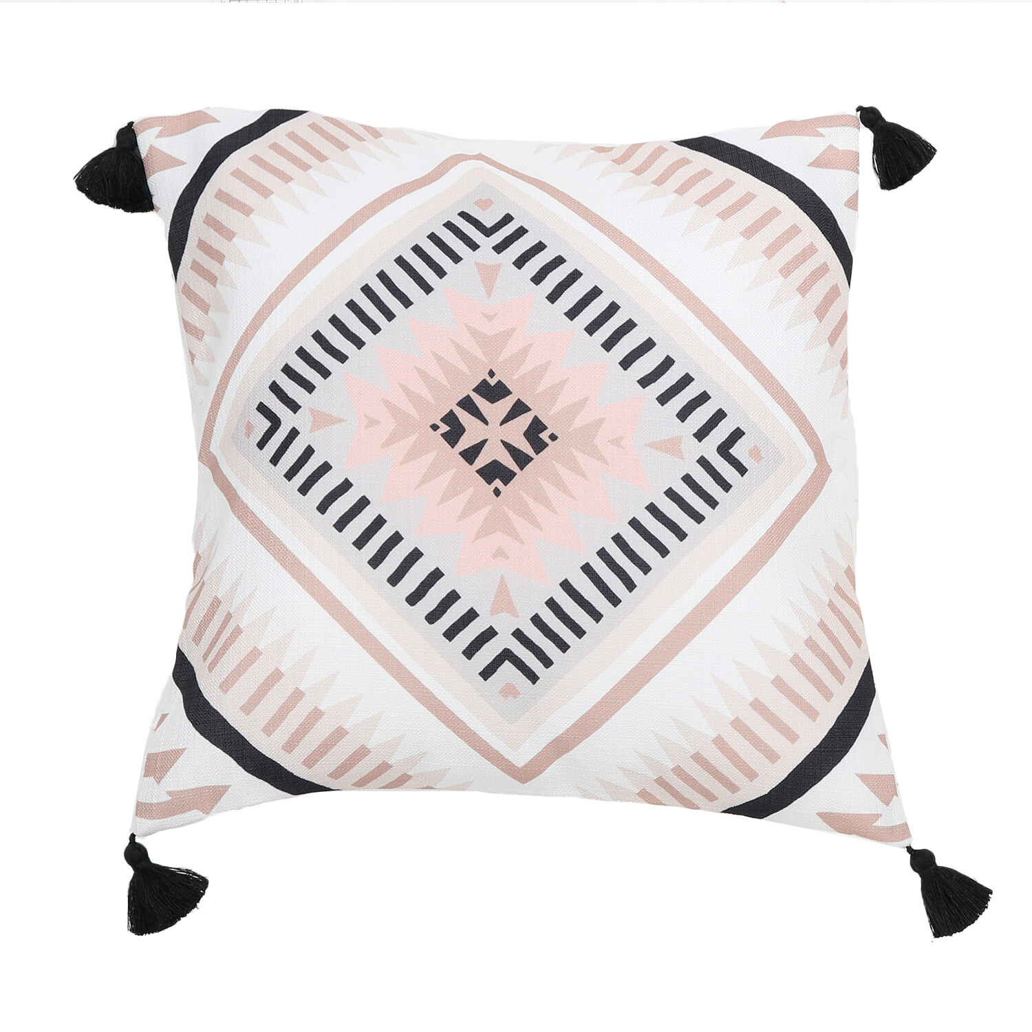 Zaniyah Tassel Cushion Image