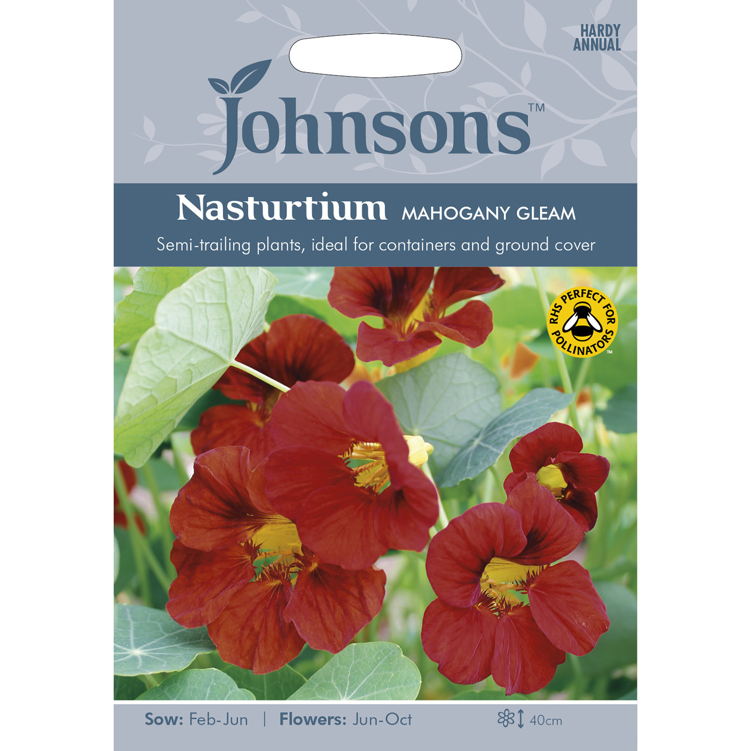 Johnsons Nasturtium Mahogany Gleam Flower Seeds Image 2