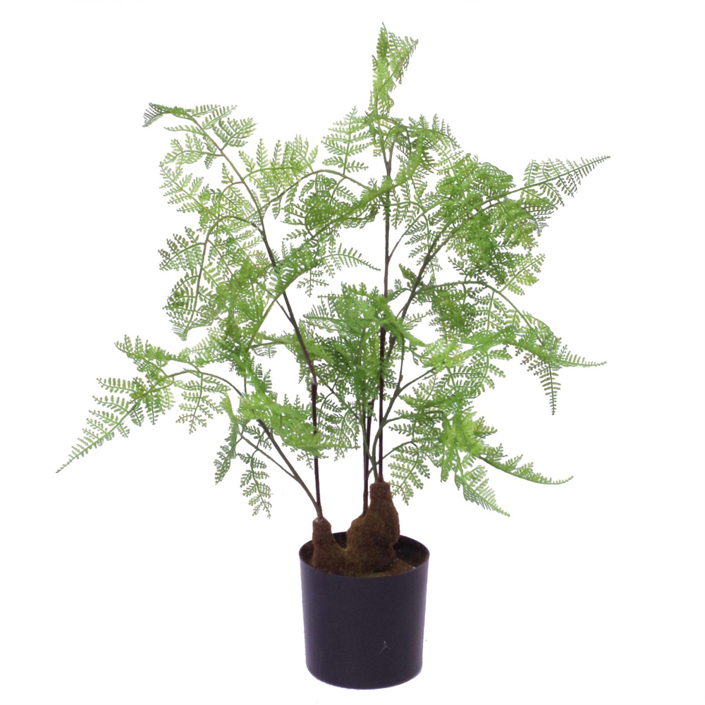 Leaf Fern Artificial Plant in Plastic Pot 2ft Image 3