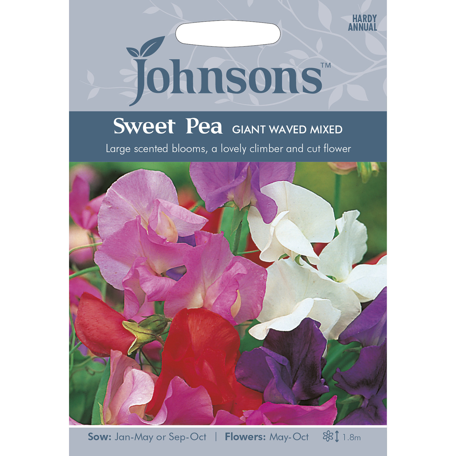 Pack of Sweet Pea Giant Waved Mixed Flower Seeds Image 1