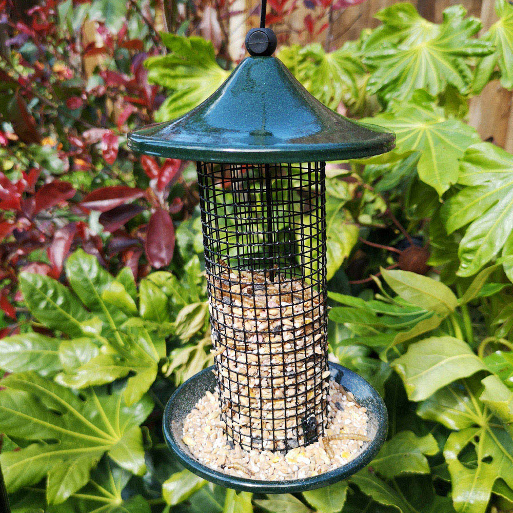 Tom Chambers Green Oriental Hanging Wild Bird Peanut Feeder Image 2