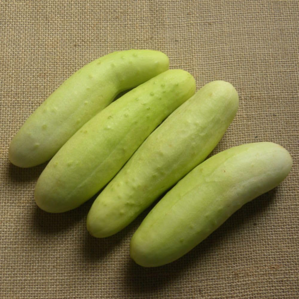 Thompson and Morgan Cucumber White Wonder Seed Packet Image 2