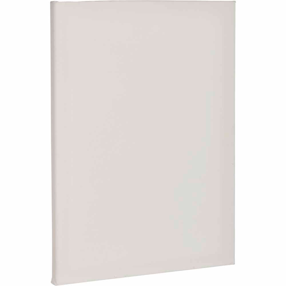 Wilko Canvas 30 x 40cm 2 pack Image 1