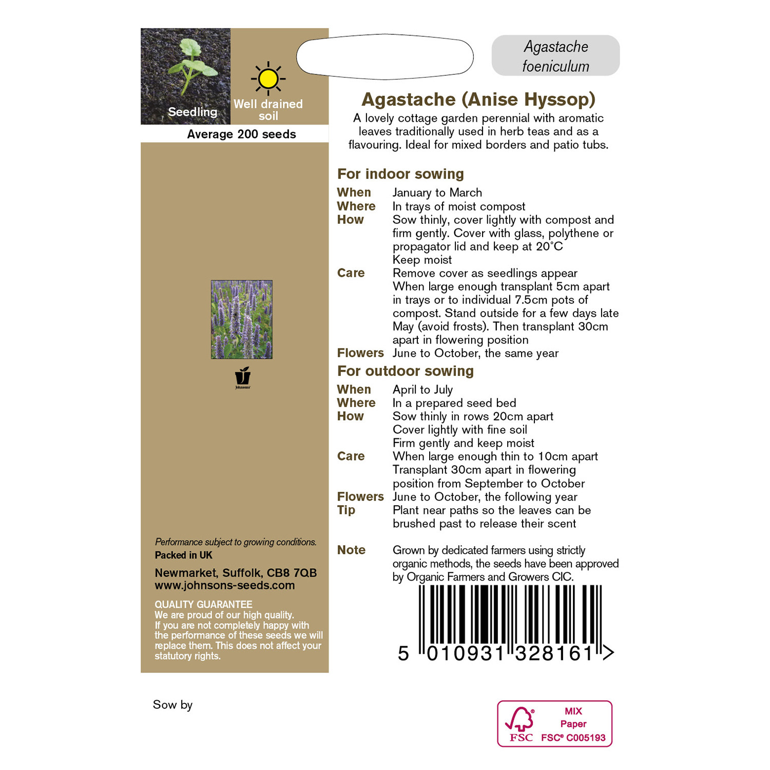 Johnsons Agastache Anise Hyssop Image 2