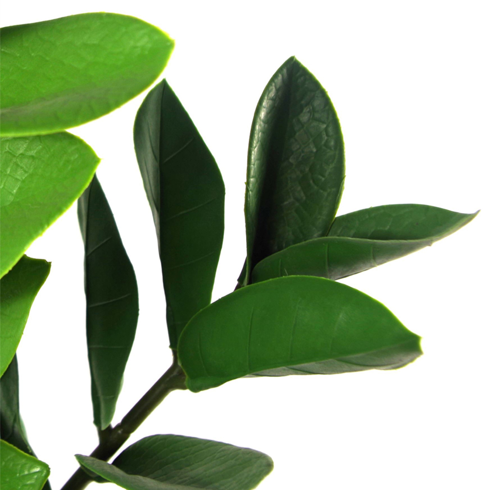 Botanik Zanzibar Gem Foliage Artificial Plant 2.5ft Image 3