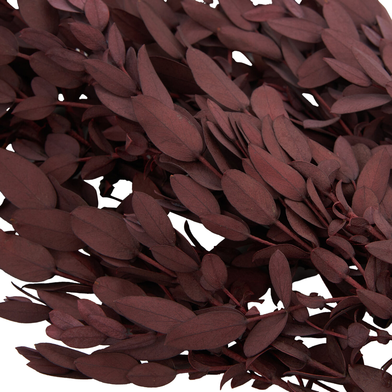 Mini Eucalyptus Bouquet Image 3