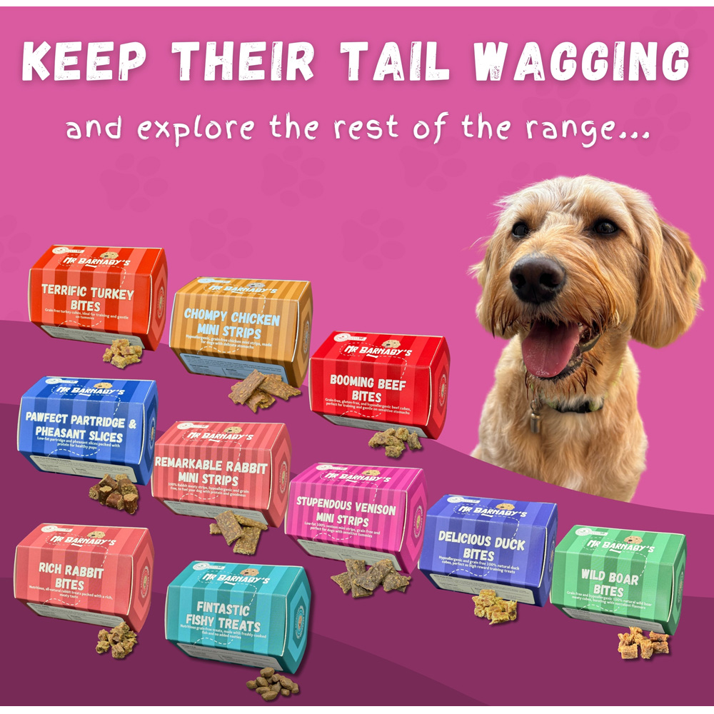 Mr Barnaby's Sensational Venison Slices Dog Treats 6 Pack Image 8