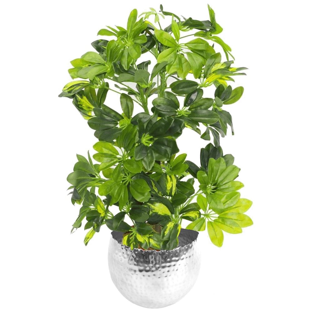 Leaf Gold Capella Arboricola Artificial Plant in Pot 75cm Image 1