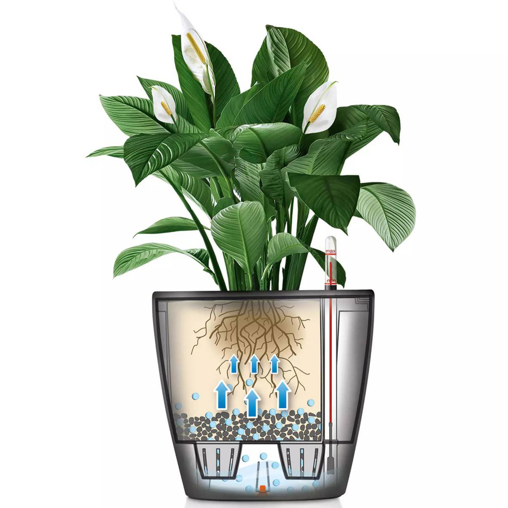 Lechuza Classico 43 LS Black Poly-Resin Self-Watering Planter 40cm Image 3