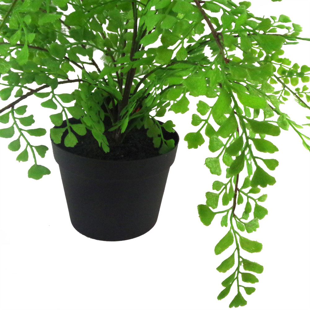 Leaf Southern Maidenhair Artificial Plant Pot 1.14ft Image 3
