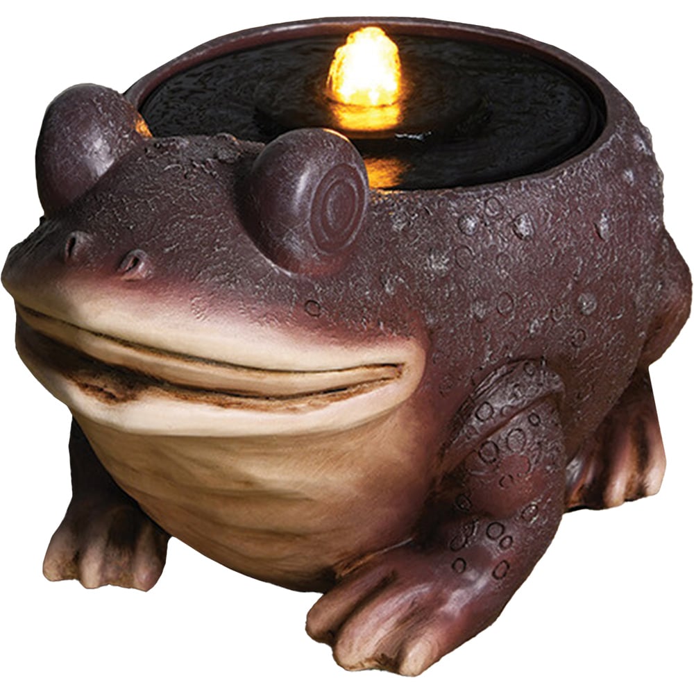 Frog Light Up Water Feature  - Brown Image 1