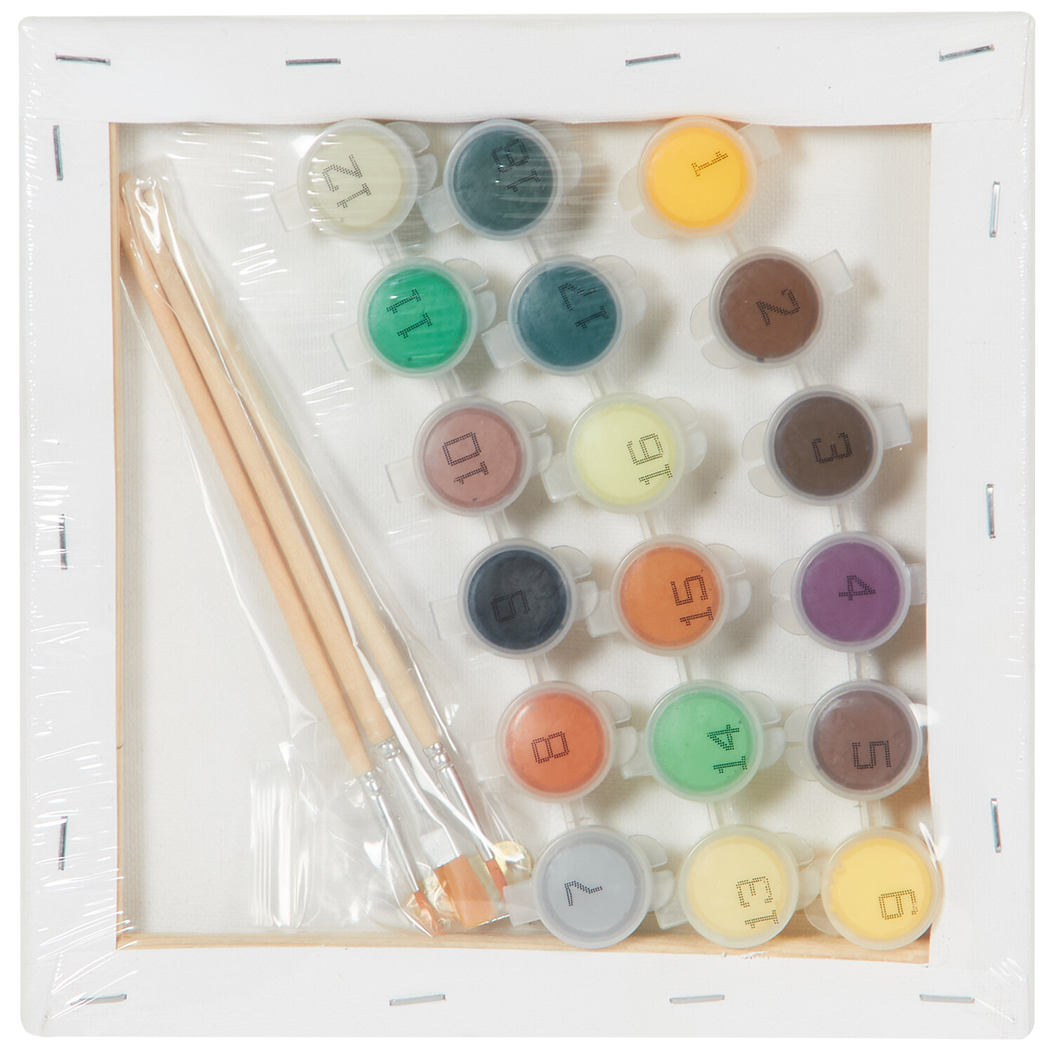 Cat or Dog Paint By Number Set - Multicolour Image 3