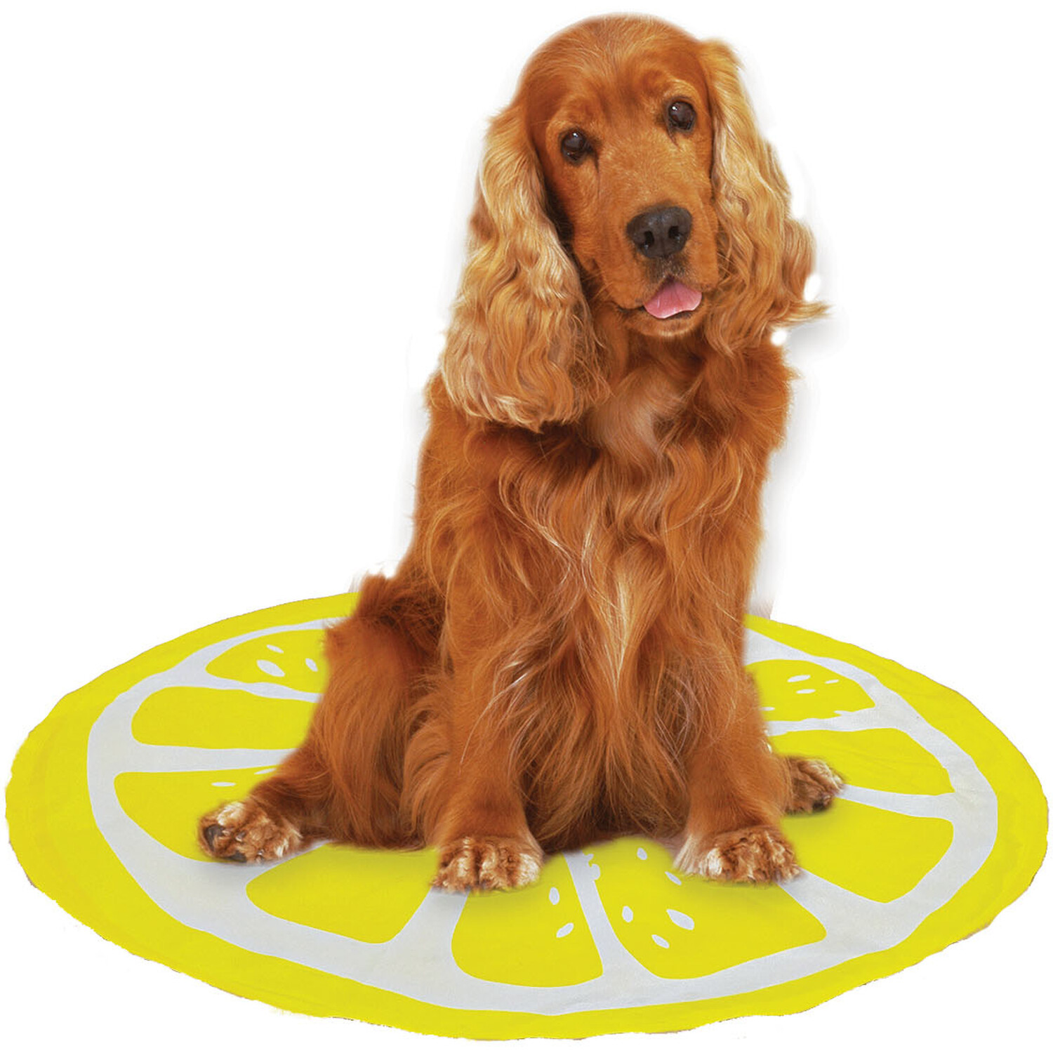 Fruit Pet Cooling Mat - Lemon Image 3