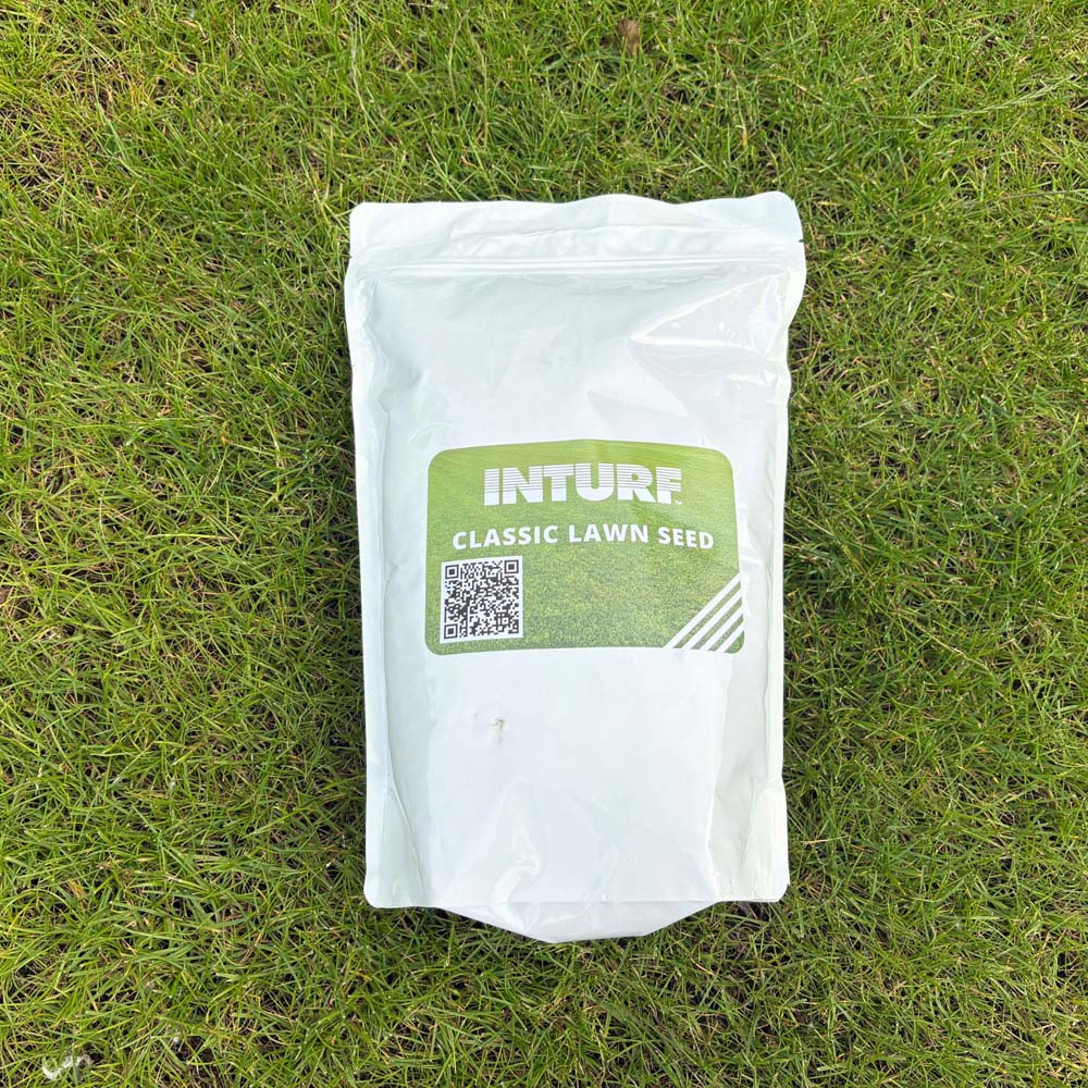 Inturf Grass Seed Bag 1kg Image 2