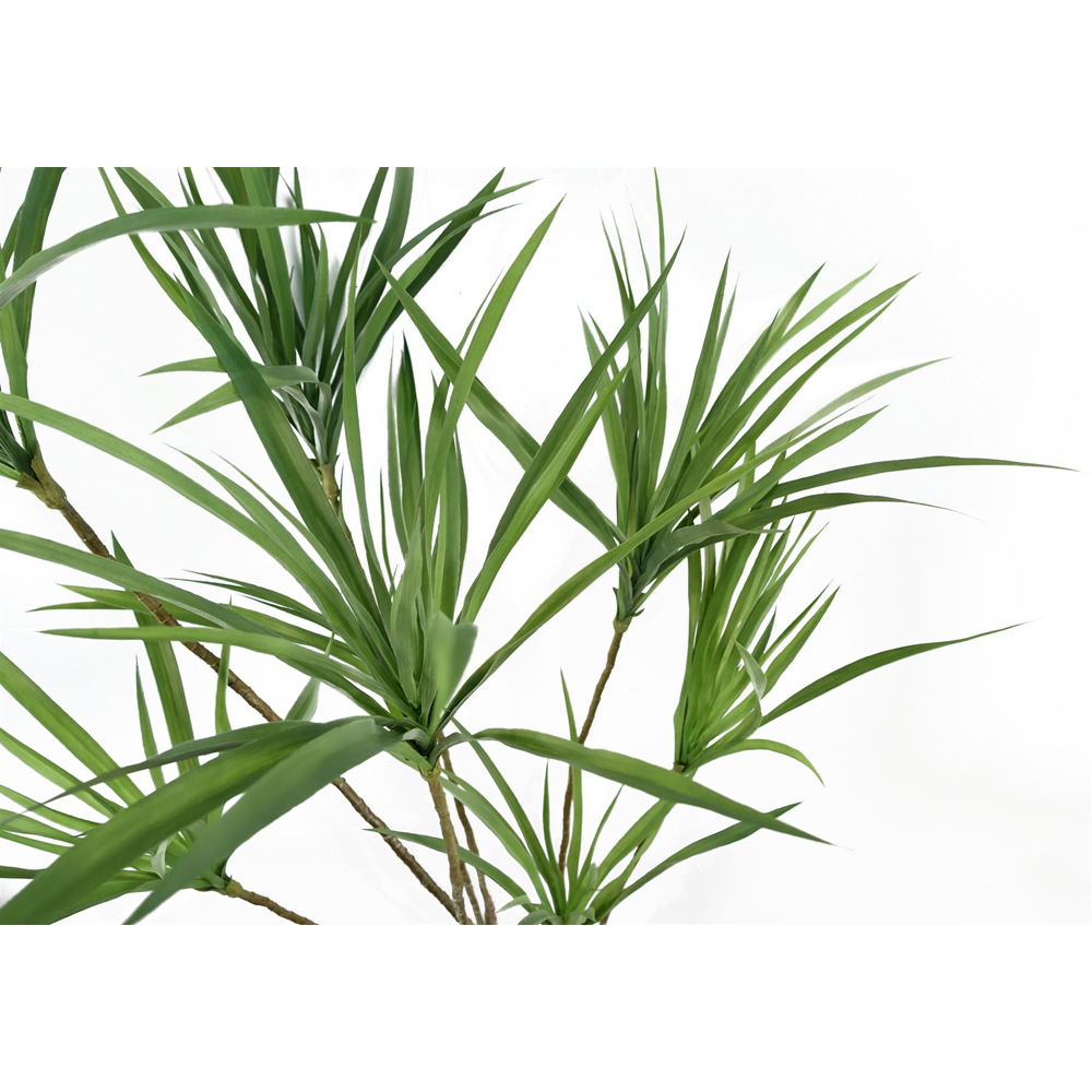 Leaf Dragon Dracanea Artificial Plant 125cm Image 3