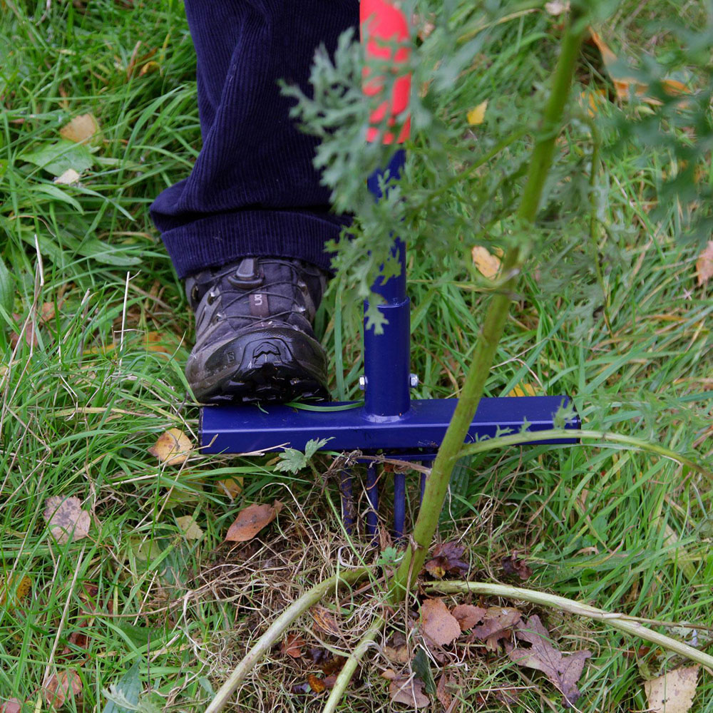 Spear & Jackson Ragwort Ultra Long Handle Weeder Image 5