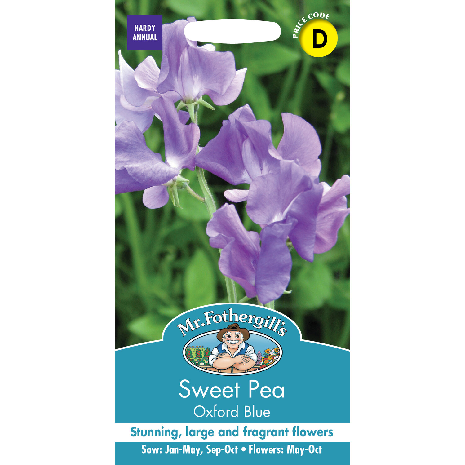Sweet Pea Oxford Blue Image 1