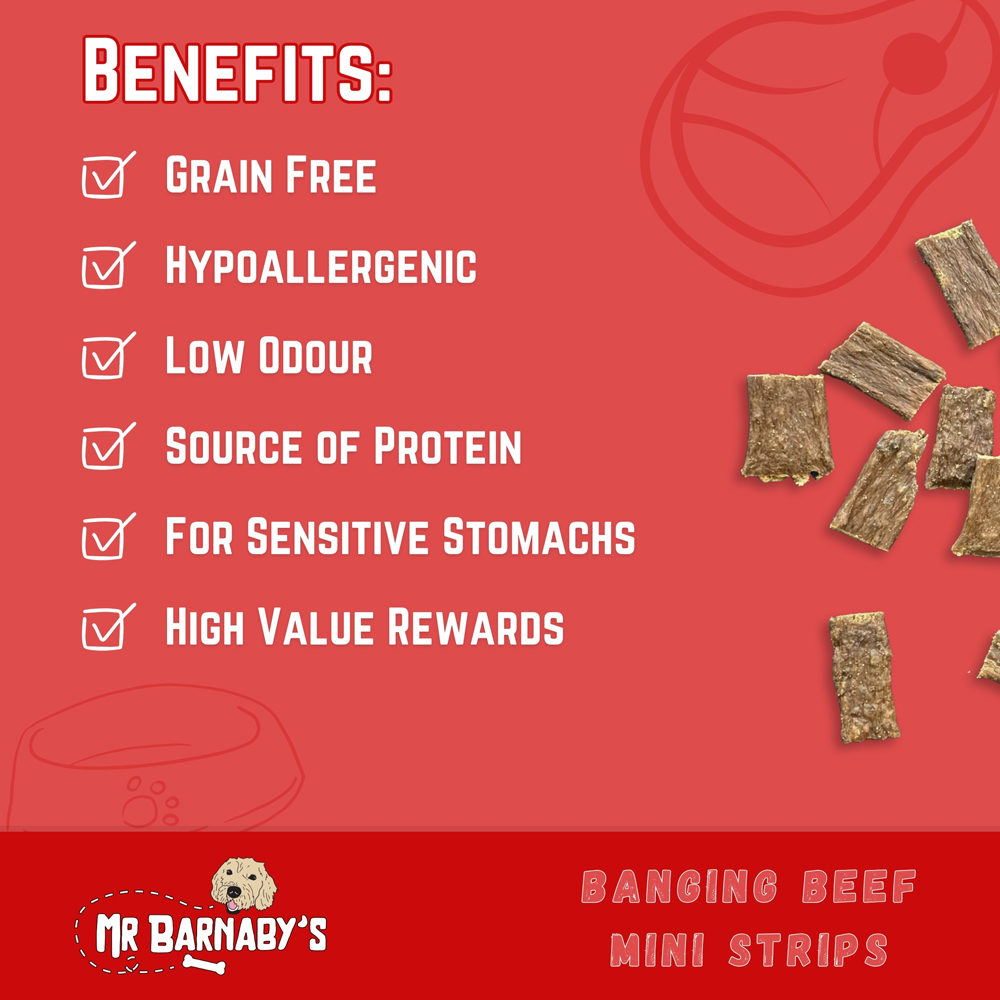 Mr Barnaby's Banging Beef Mini Strips Dog Treats 6 Pack Image 4